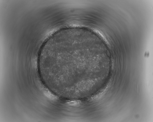 X0000093750447200711131129