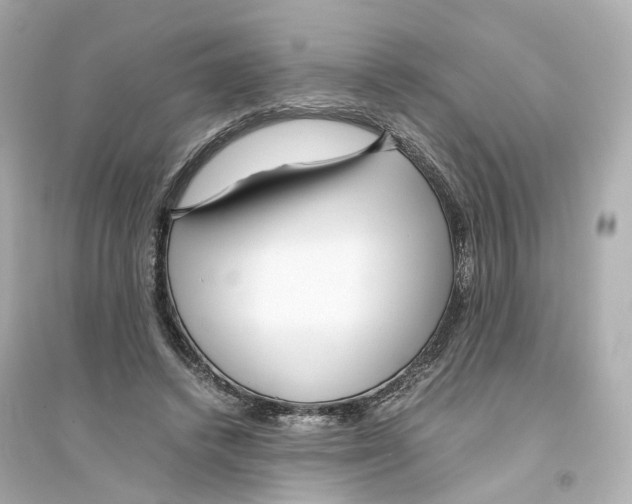 X0000093750448200711131129