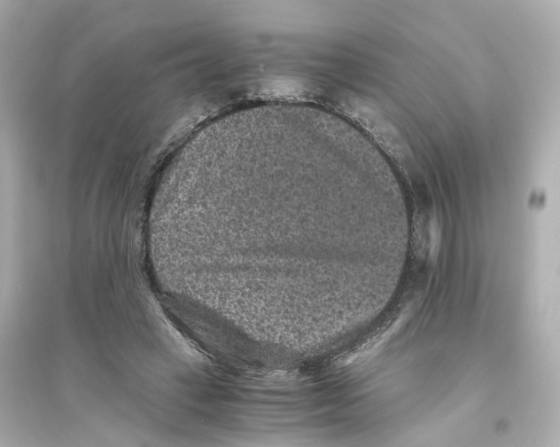 X0000093750449200711131129