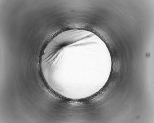 X0000093750453200711131129