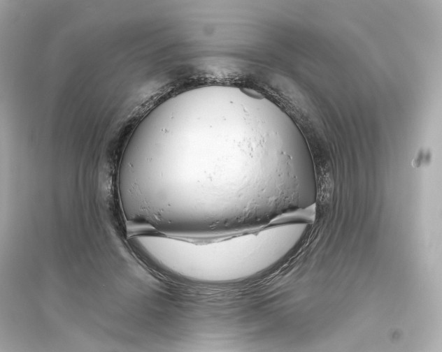 X0000093750456200711131129