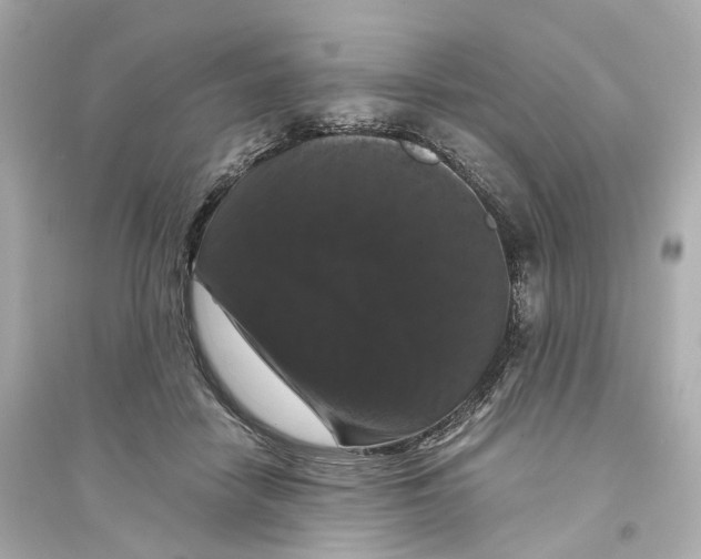 X0000093750458200711131129