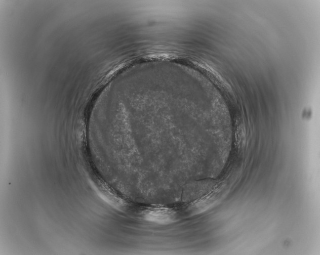 X0000093750459200711131129