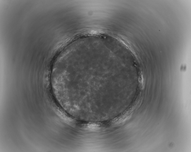 X0000093750462200711131129