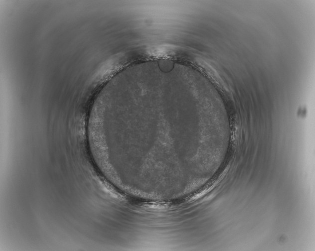 X0000093750466200711131129