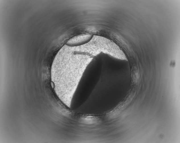 X0000093750467200711131129