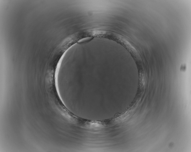 X0000093750475200711131129