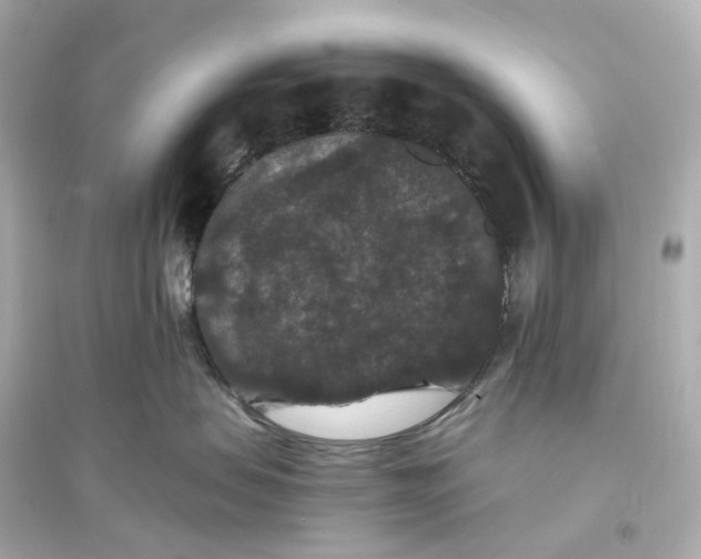 X0000093750479200711131129