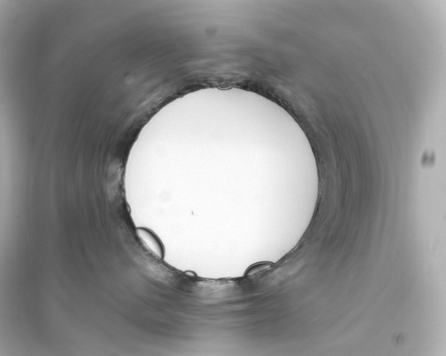 X0000093750480200711131129