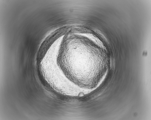 X0000093750483200711131129