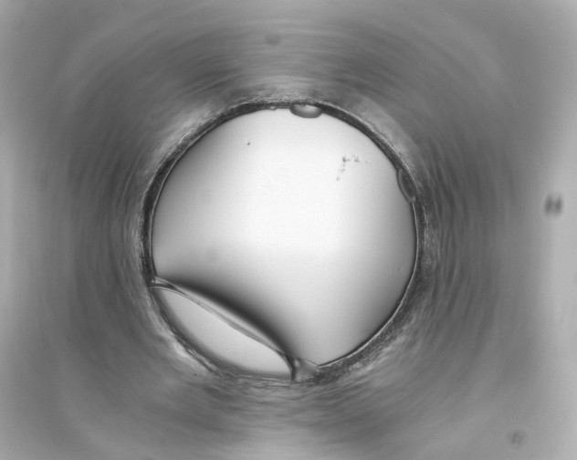 X0000093750485200711131129