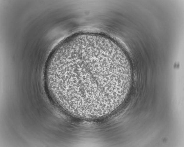 X0000093750487200711131128