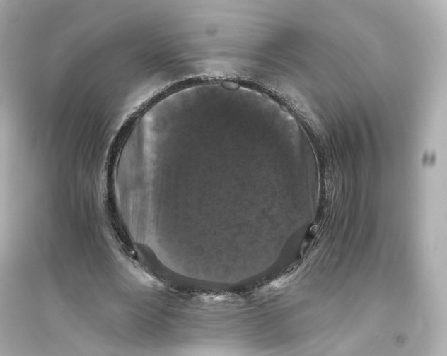 X0000093750488200711131128