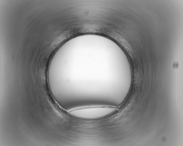 X0000093750489200711131128