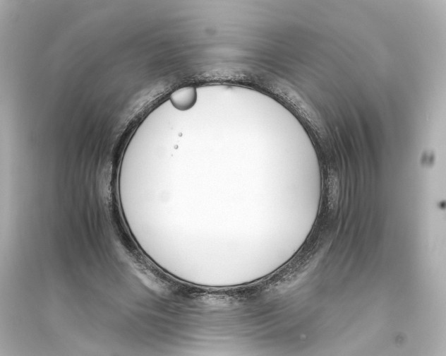 X0000093750490200711131128