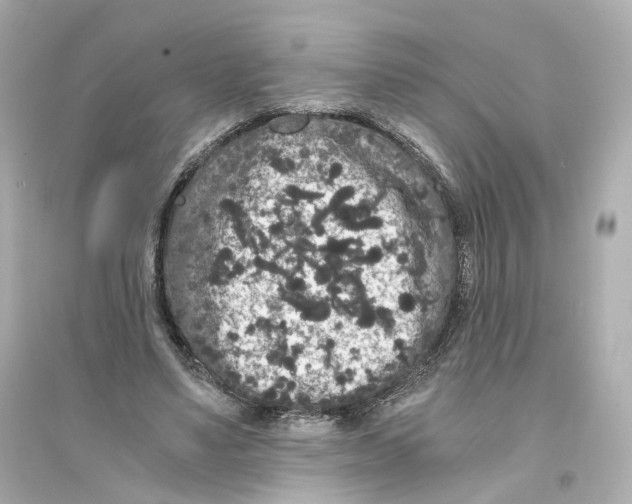 X0000093750491200711131128