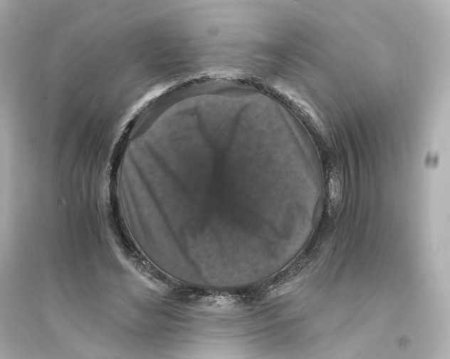 X0000093750492200711131128