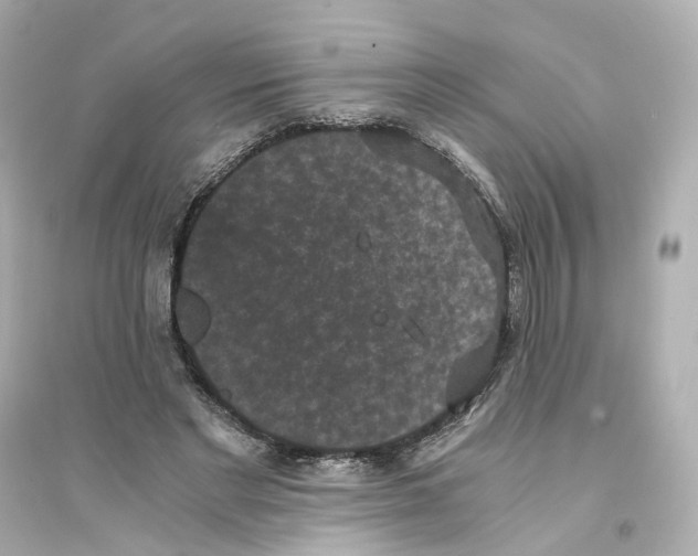 X0000093750493200711131128