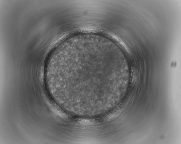 X0000093750494200711131128