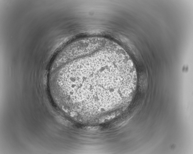 X0000093750495200711131128