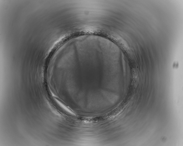 X0000093750496200711131128