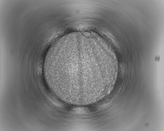 X0000093750499200711131128