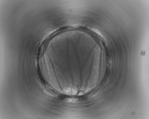 X0000093750500200711131128