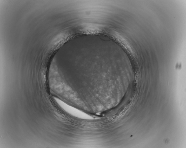 X0000093750501200711131128