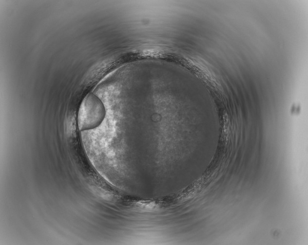 X0000093750502200711131128