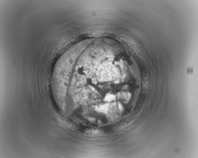 X0000093750503200711131128