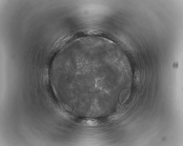 X0000093750506200711131128