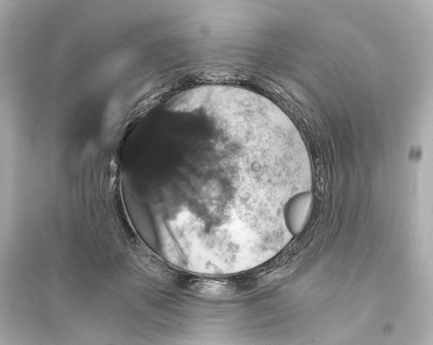 X0000093750507200711131128