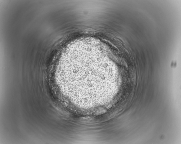 X0000093750511200711131128