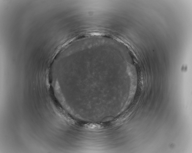 X0000093750512200711131128