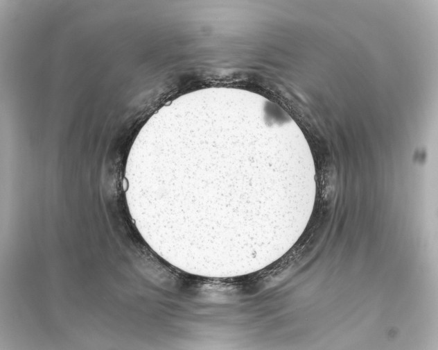 X0000093750515200711131128