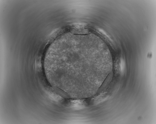 X0000093750516200711131128