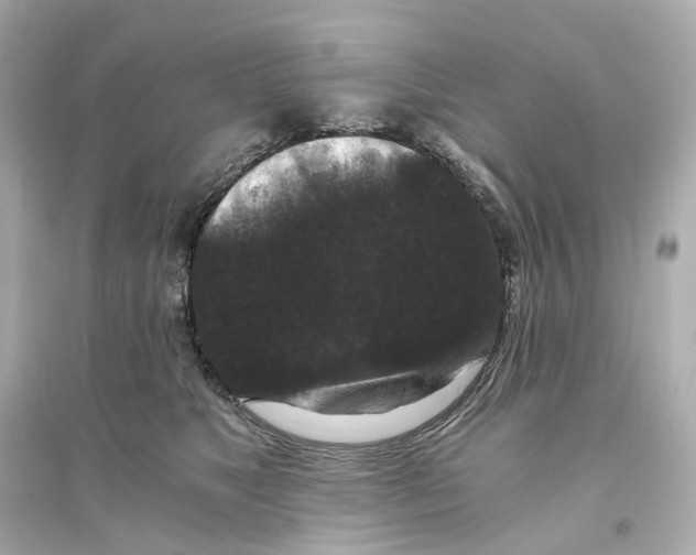 X0000093750517200711131128