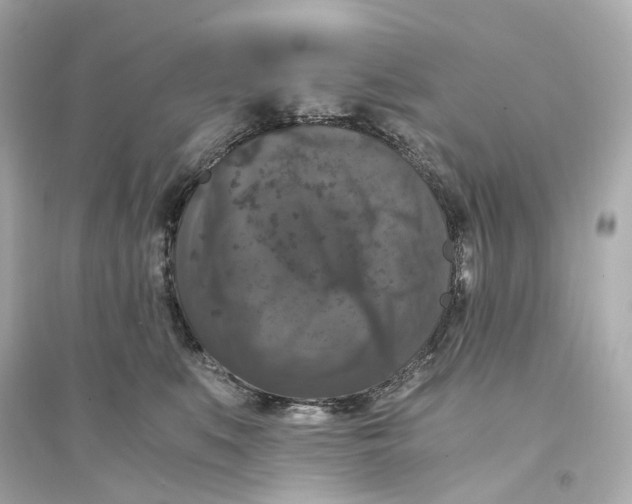 X0000093750519200711131128