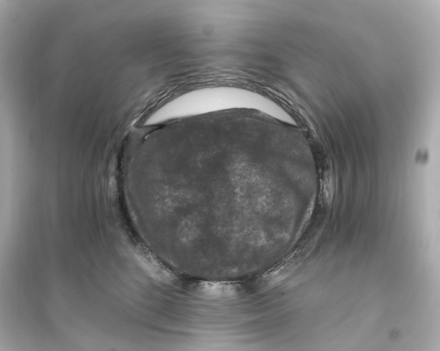 X0000093750520200711131128