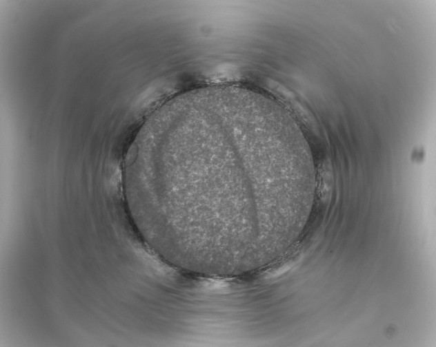 X0000093750523200711131128