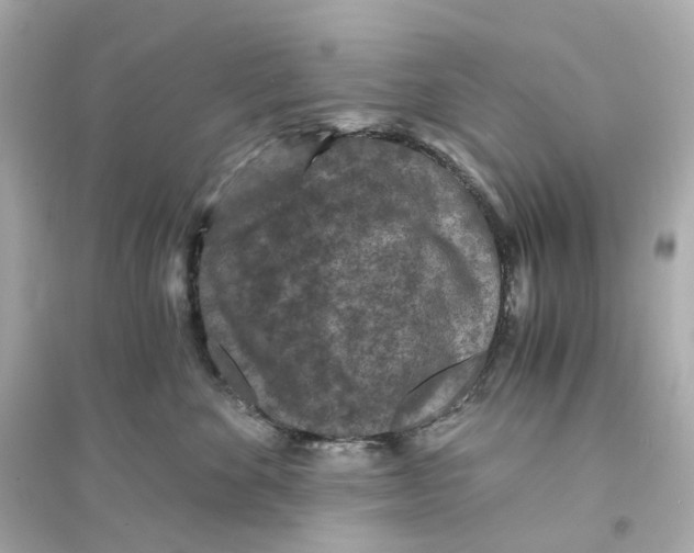 X0000093750524200711131128