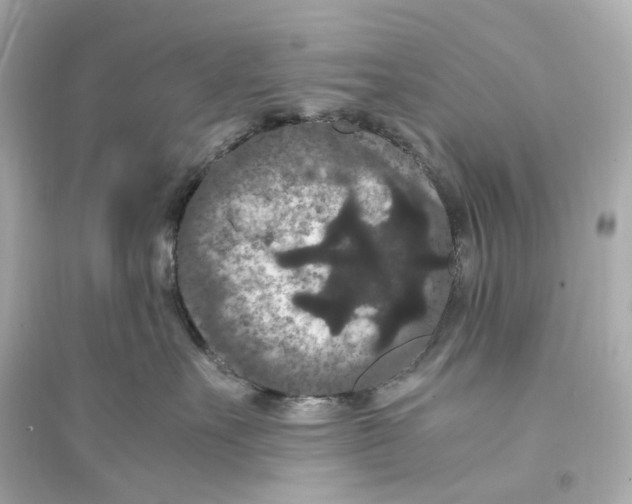 X0000093750527200711131128