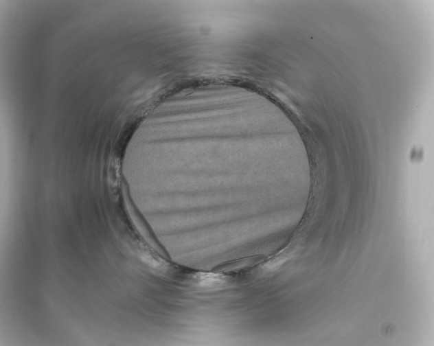 X0000093750528200711131128