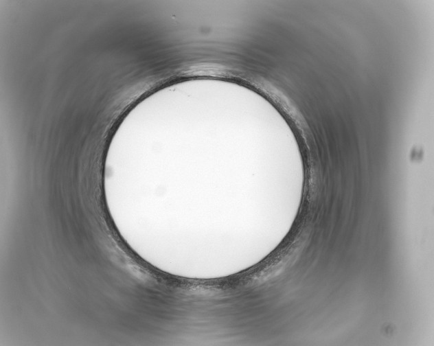 X0000093750529200711131127