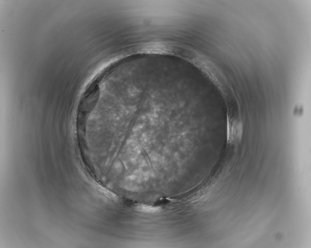 X0000093750531200711131127