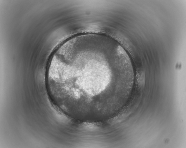 X0000093750534200711131127