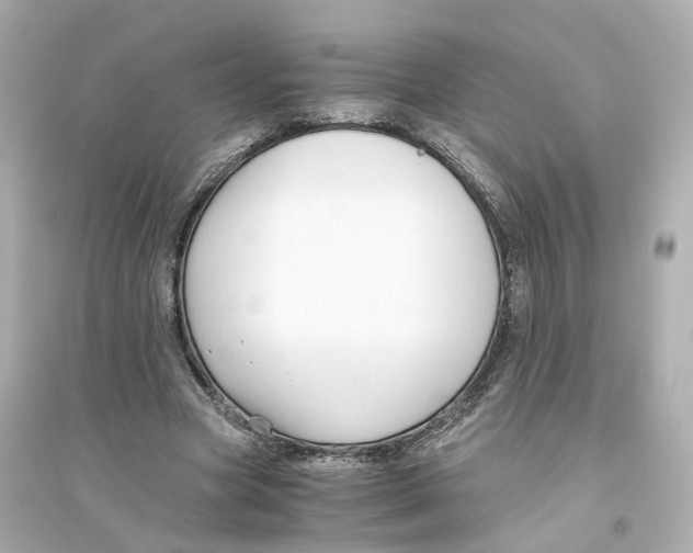 X0000093750537200711131127