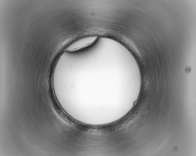 X0000093750538200711131127