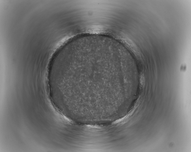 X0000093750540200711131127