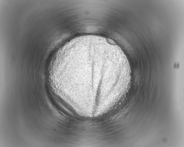 X0000093750542200711131127